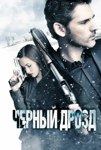 Черный дрозд КиноТак