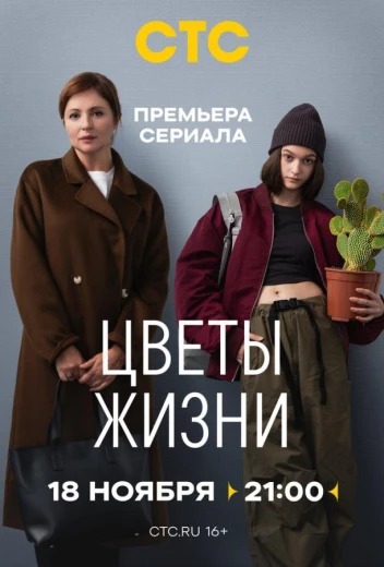 Цветы жизни КиноТак
