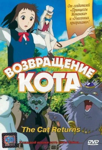 Возвращение кота КиноТак