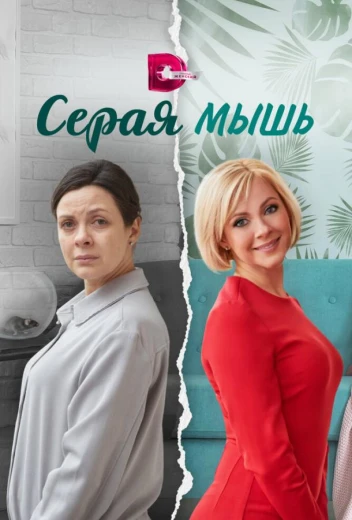 Серая мышь КиноТак