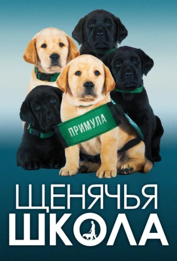 Щенячья школа КиноТак