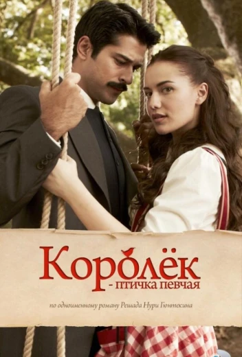 Королёк – птичка певчая КиноТак