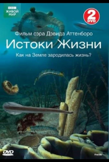 BBC: Истоки жизни КиноТак