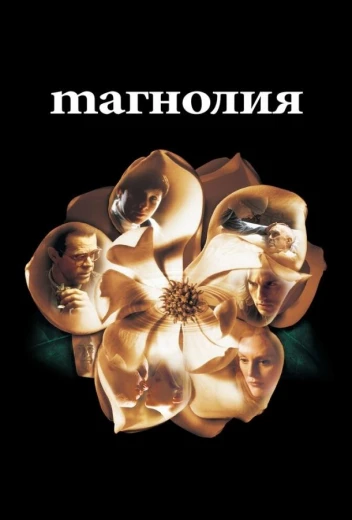 Магнолия КиноТак