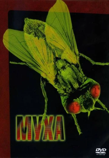 Муха КиноТак