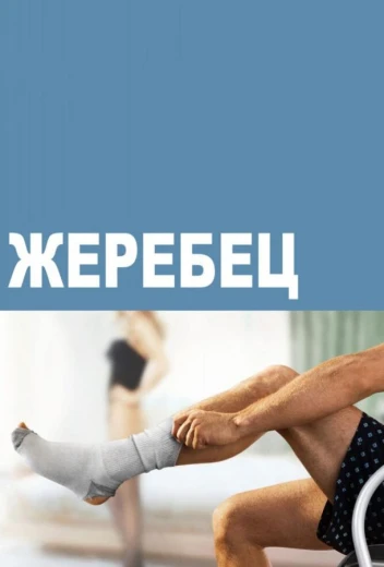 Жеребец КиноТак