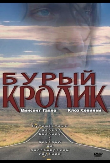 Бурый кролик КиноТак