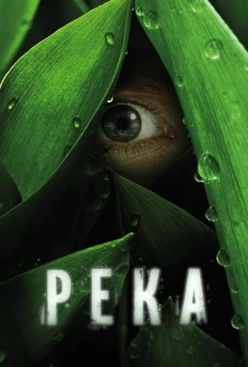 Река КиноТак