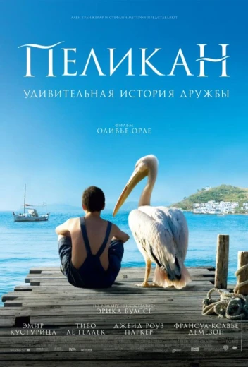 Пеликан КиноТак
