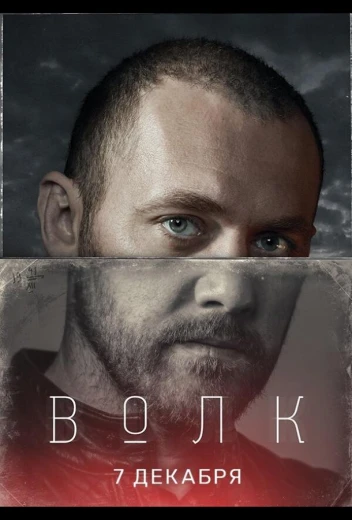 Волк КиноТак