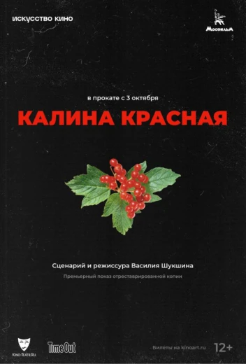 Калина красная КиноТак