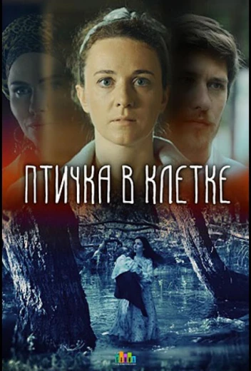 Птичка в клетке КиноТак