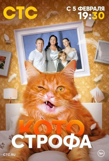 Котострофа КиноТак