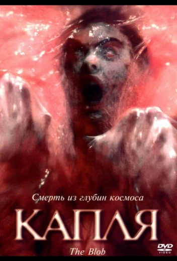 Капля КиноТак