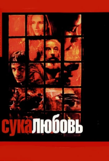Сука-любовь КиноТак
